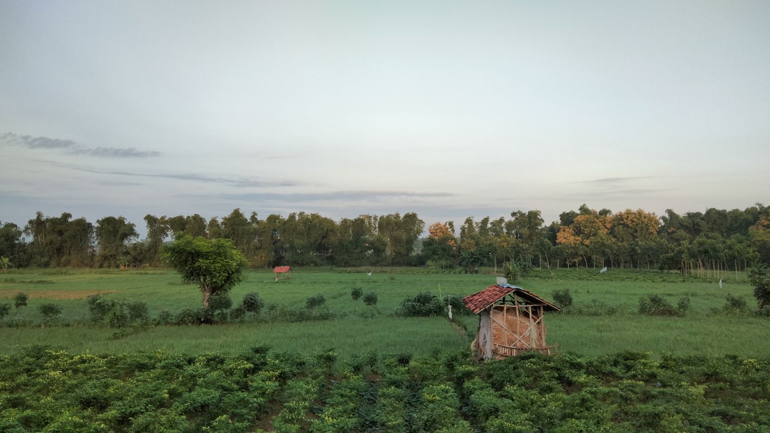 Ackerland auf Madura, Indonesien.